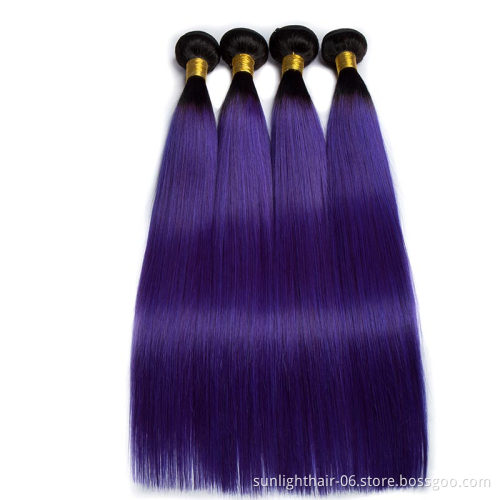 HN Ombre Purple Brazilian Straight Hair Weaving Bundles 1B 2T 3T Purple Virgin Purple Human Hair bundles